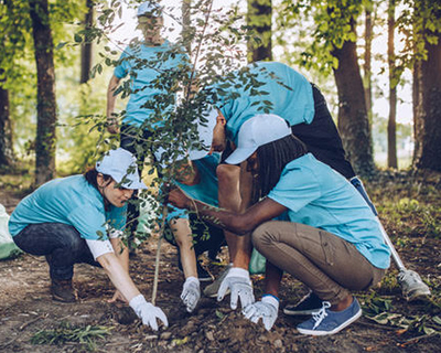 people planting trees together