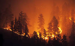 Wildfire raging in Vacaville, California 2020
